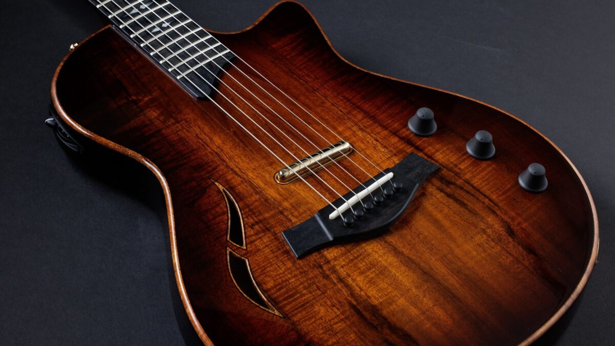 Taylor T5z 特殊木目 エレアコ ギター Taylor Guitars